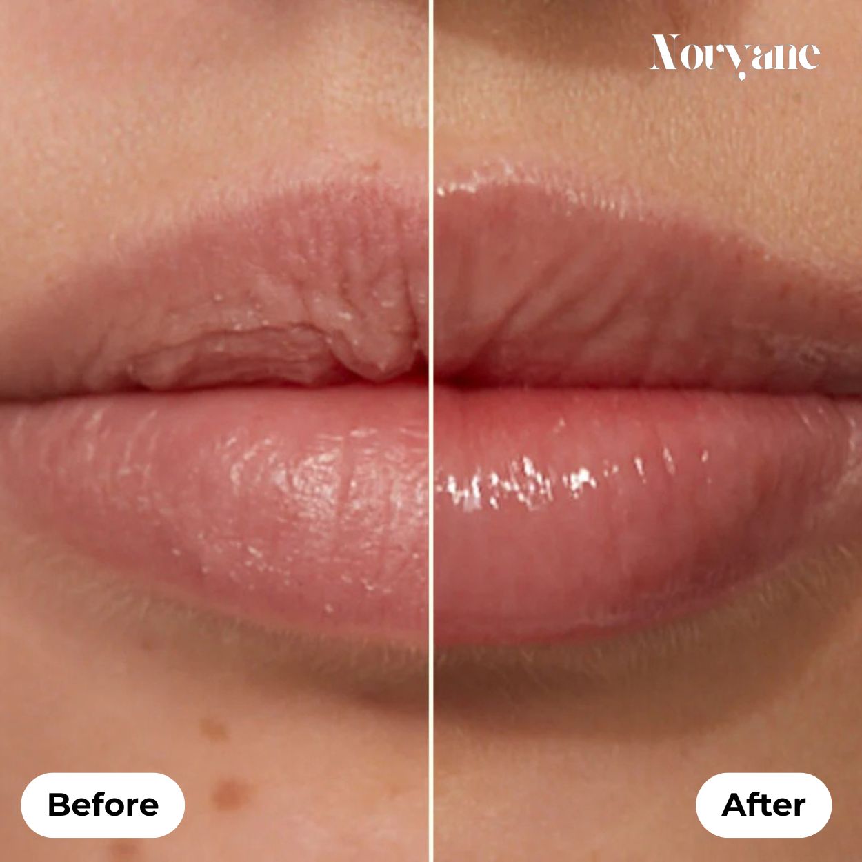 Golden Plum Radiance Lip Mask