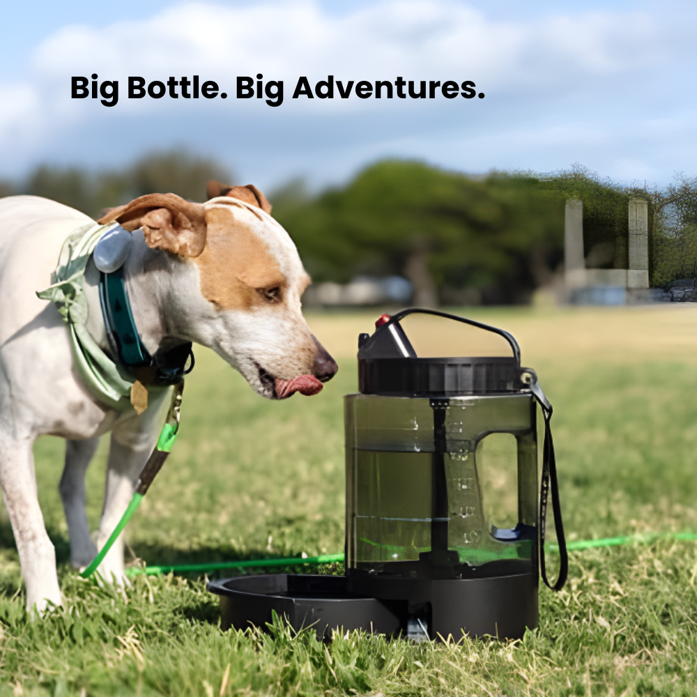 Portable Dog Water Bottle With Bowl