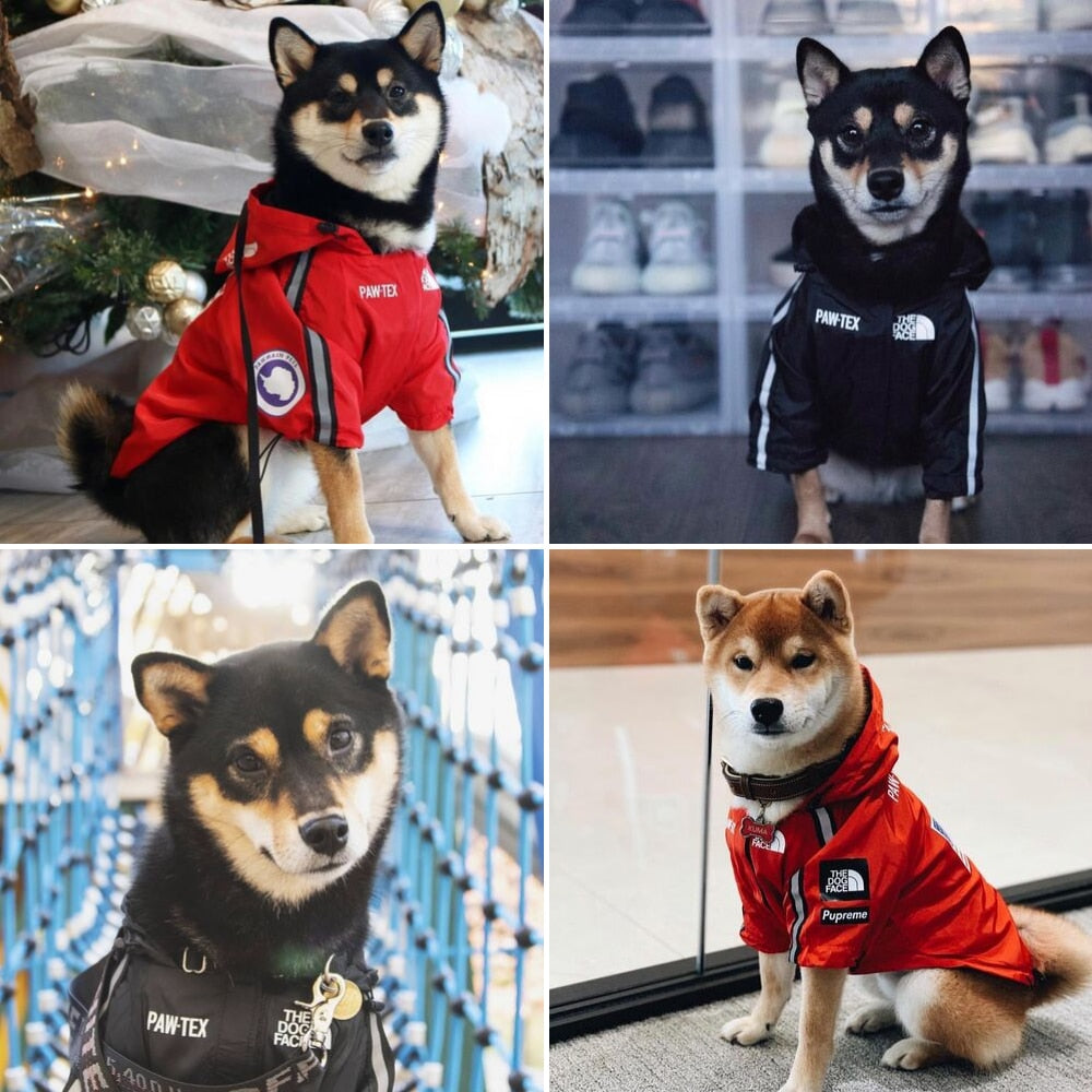 The dog face Jacket