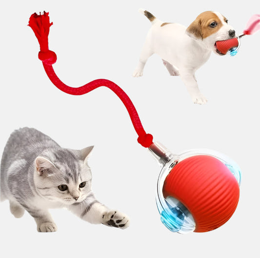 BounceTug Play Ball – The Ultimate Interactive Pet Toy!
