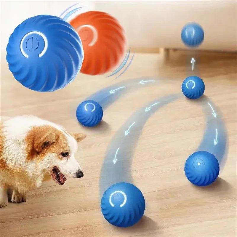 Interactive Motion Activated Rolling Ball Dog Toy – Endless Fun for Your Pup!