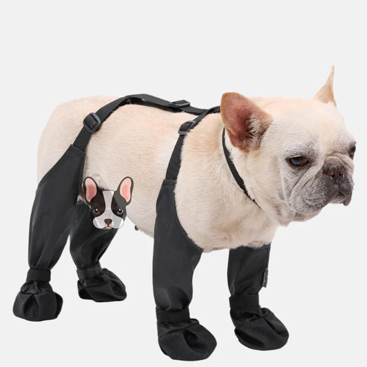Waterproof Adjustable Dog Boots – Ultimate Paw Protection in Any Weather!